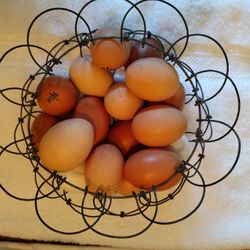 Egg Basket For Fresh Eggs