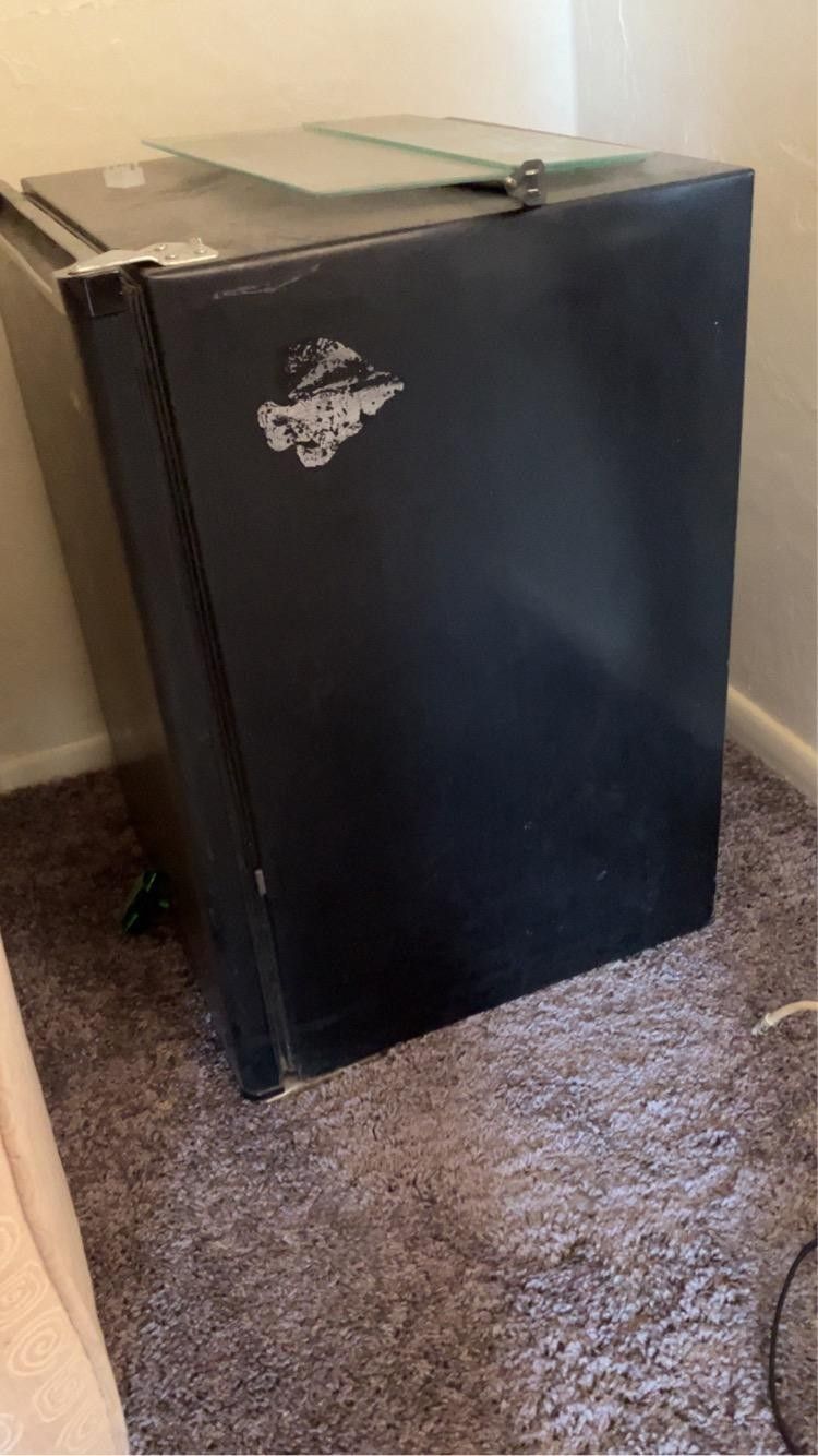 Mini Fridge