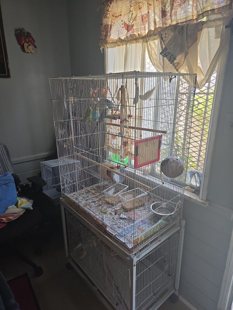Birds Cage For Sale 