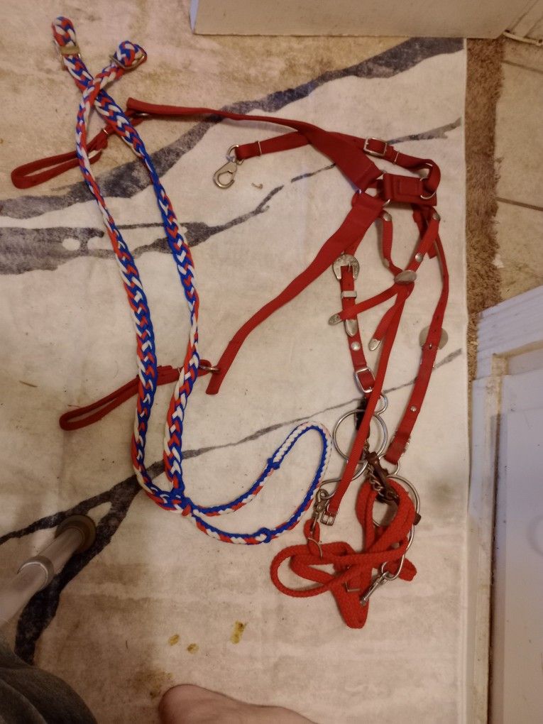 Red Nylon Tack Set Bridles, Reins , Breast Collar