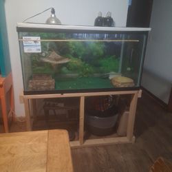 Reptile Tank Or Fish 120 Gallons