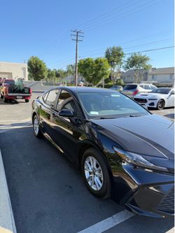 Tint for sale