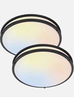 2 Pack LED Flush Mount Ceiling Lights