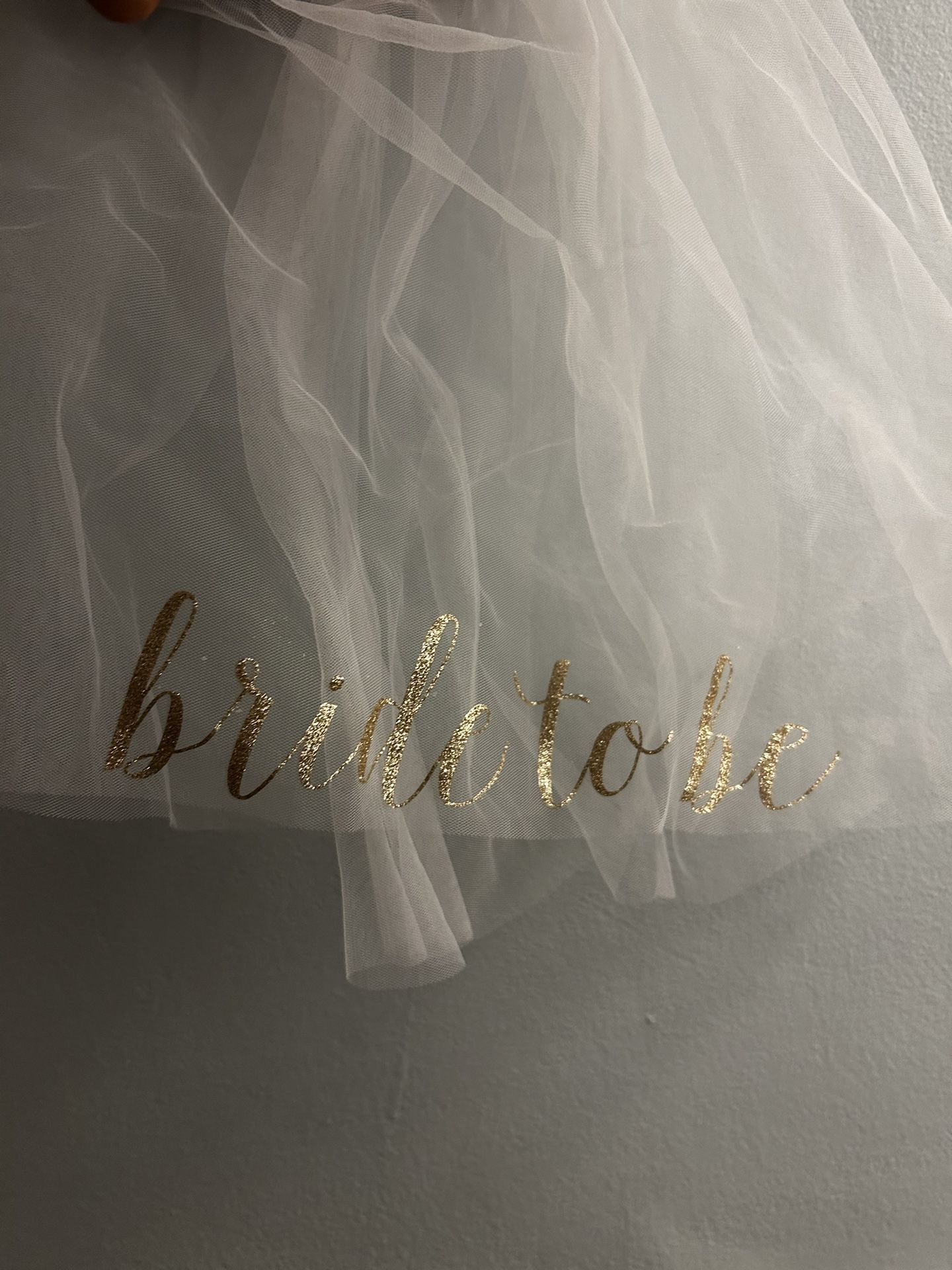 Bride To Be Veil