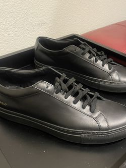 Common Projecta Size 10