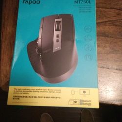 Rapoo wireless mouse 