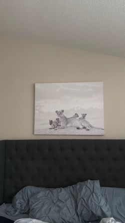Lioness Wall Art