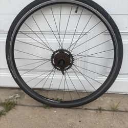 Giant Rear Bicycle Rim With 700x32c Tire