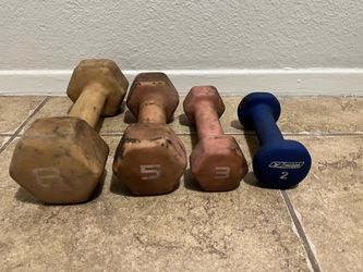 18lbs Weight Set