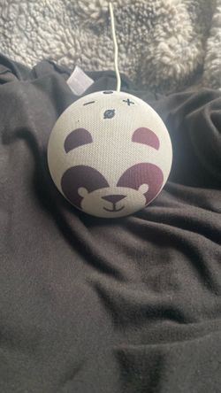 Amazon Echo Dot 4th Gen Kids Edition (panda)