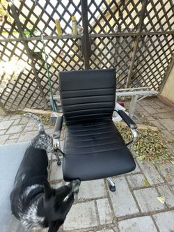 Office Chair 