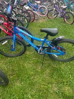 20” Schwinn