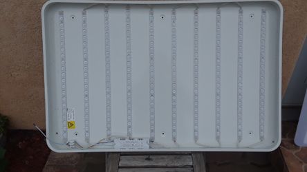 Led light