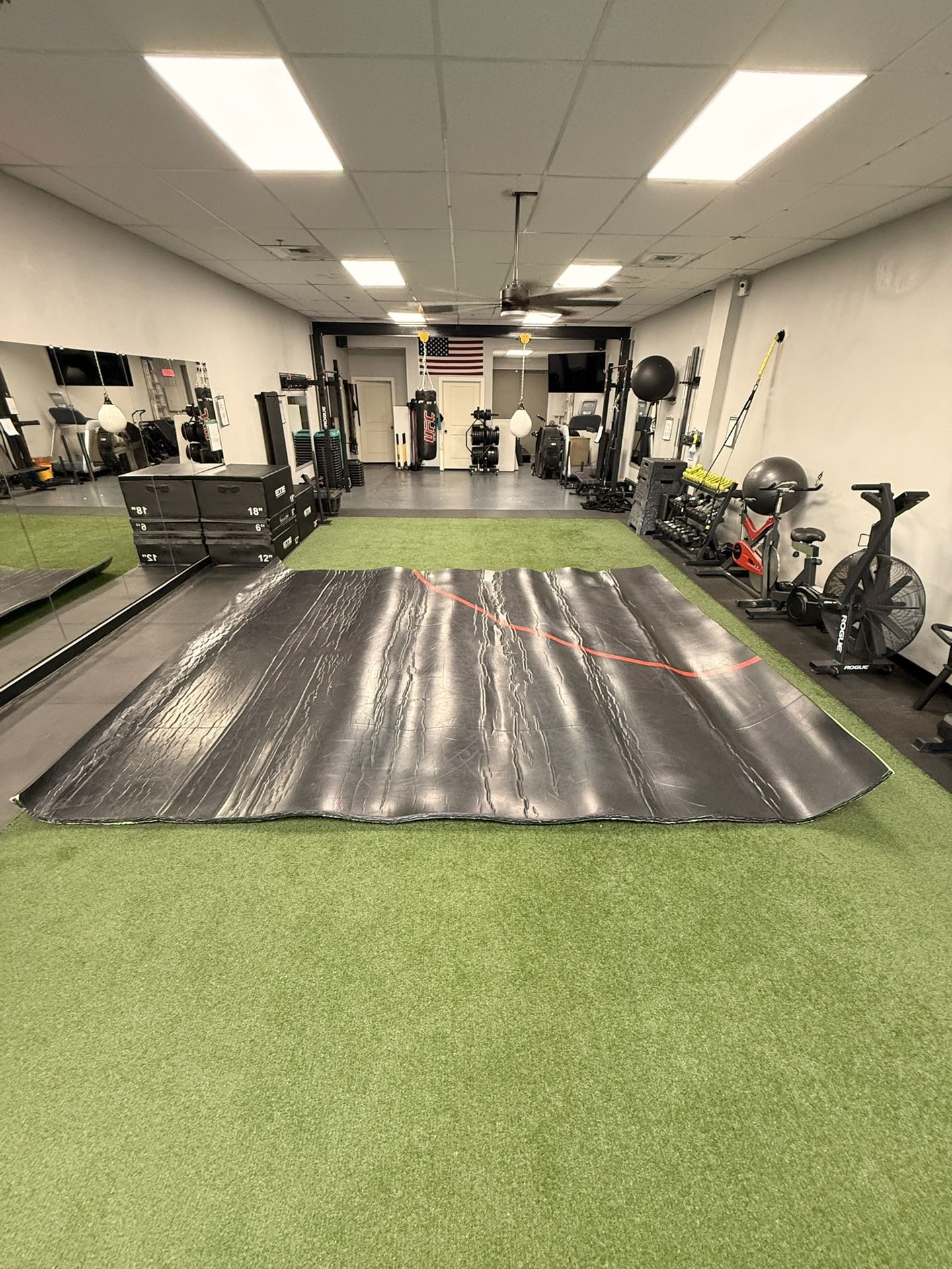 Wrestling/grappling Mat