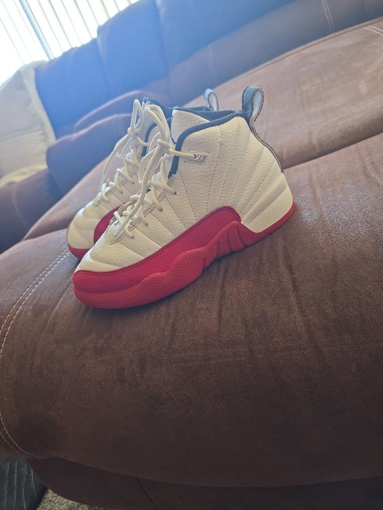 Jordan 12s Kids