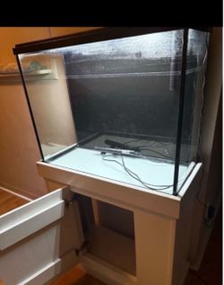 Fish stand and fish tank
