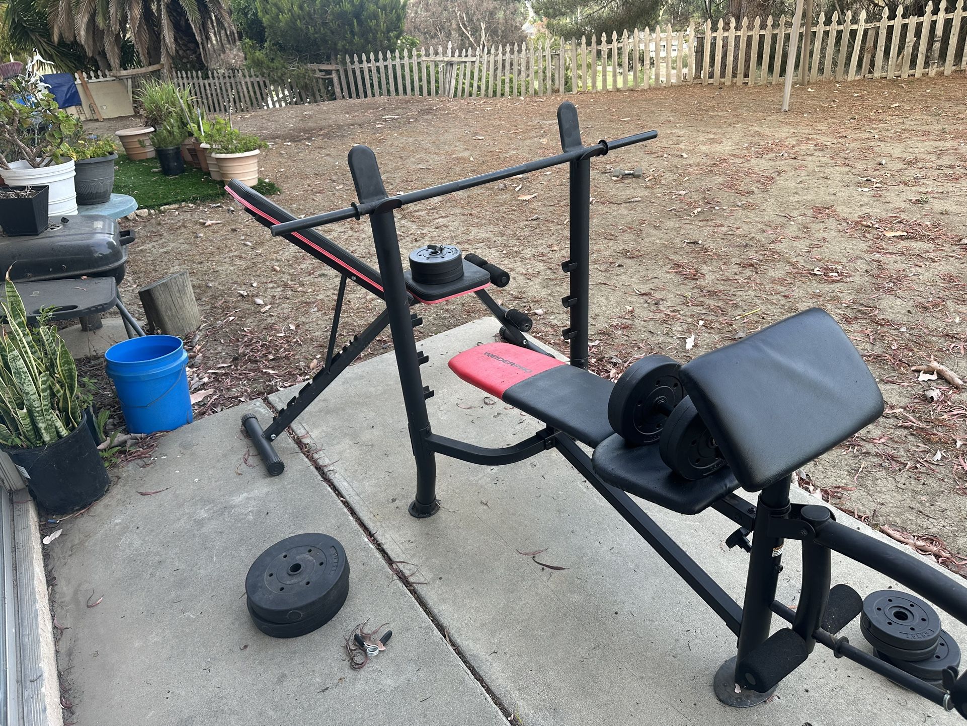 Gym Setup