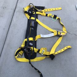 Safety Harness
