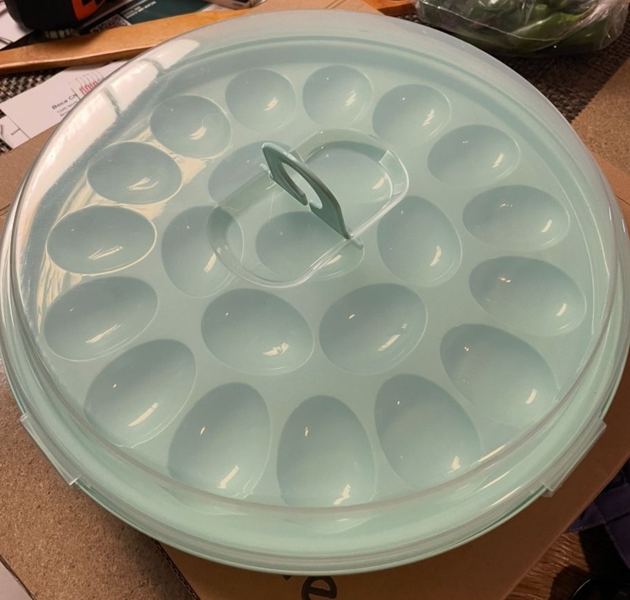 Egg Container With Lid
