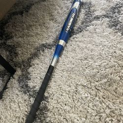 Softball bat