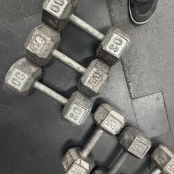 30lb Dumbells 