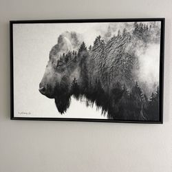 Buffalo Wall Picture 