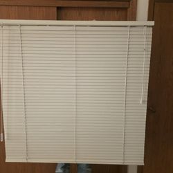 Free 1" Mini Blind (40"wide x 40" long)