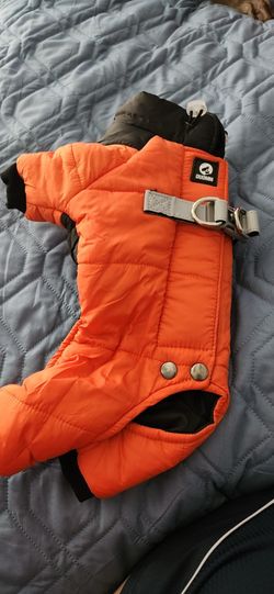 Dog Jacket - XS