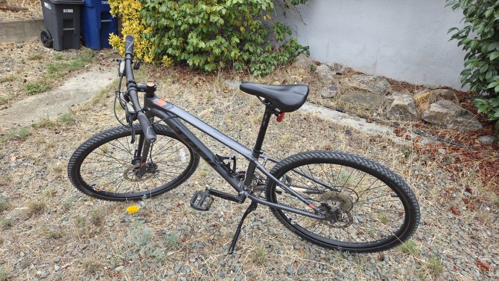 Trek Dual Sport (NOT FREE)
