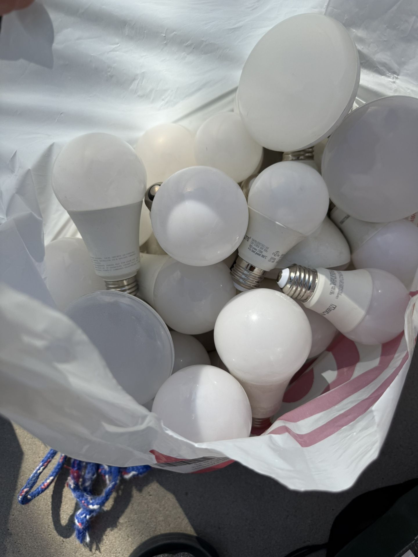 Light Bulbs