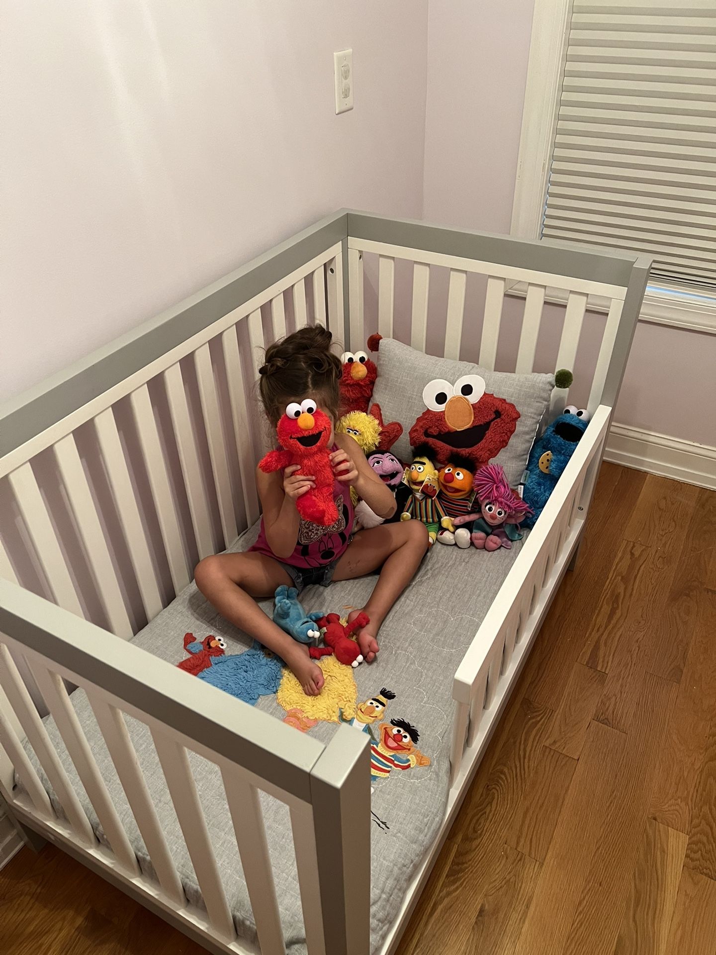 Sesame Street Toddler Bedding Package ($100 OBO)