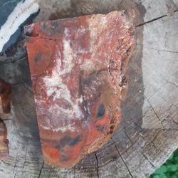 Arizona Red Petrified Wood