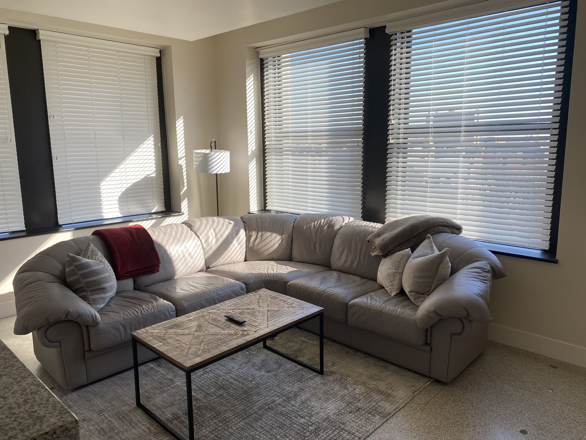 Italian Leather Sofa (Salotti Natuzzi) + Pillows