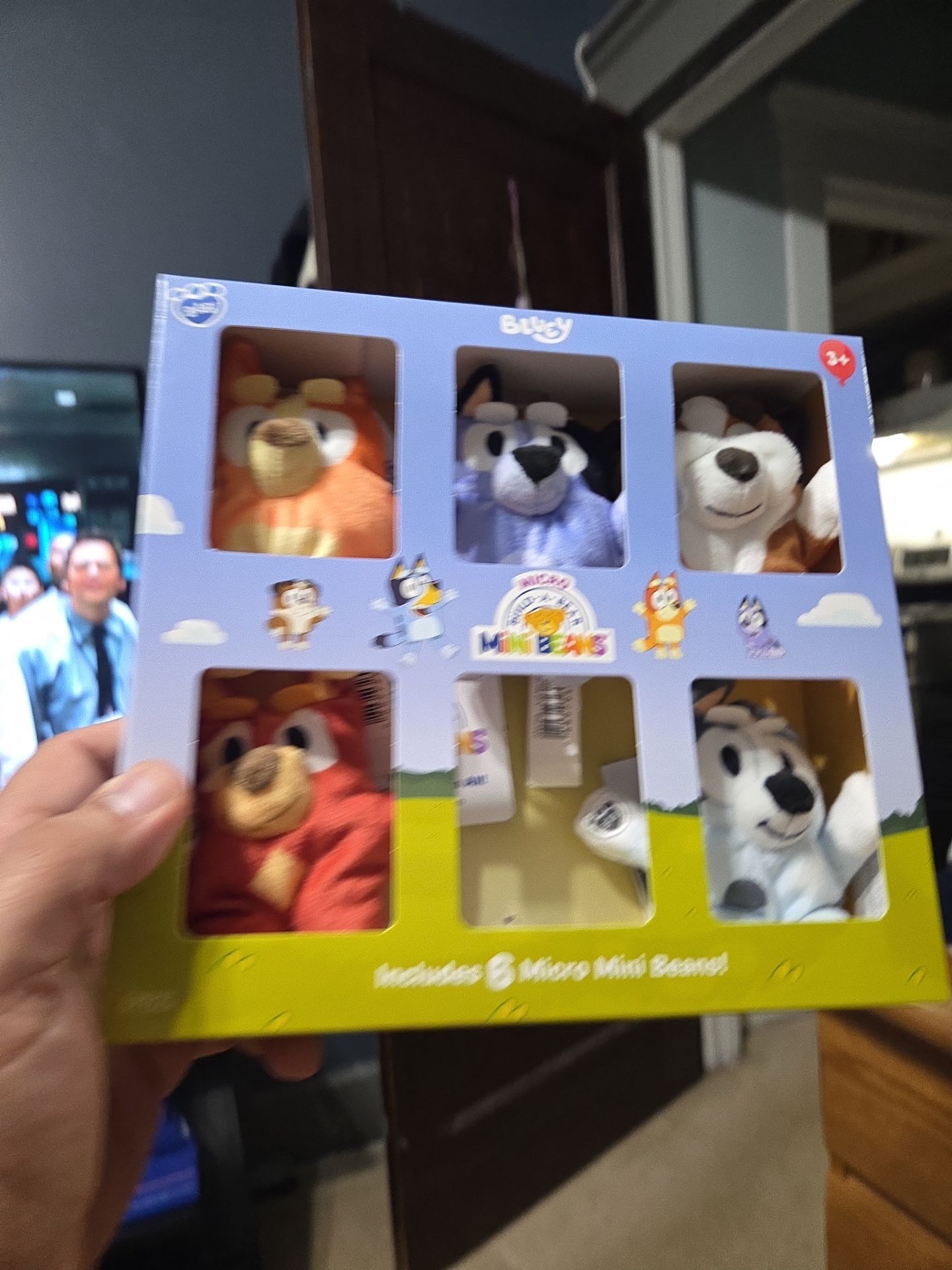 Bluey toy