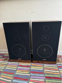 Vintage Fisher Speakers NL-8221-104