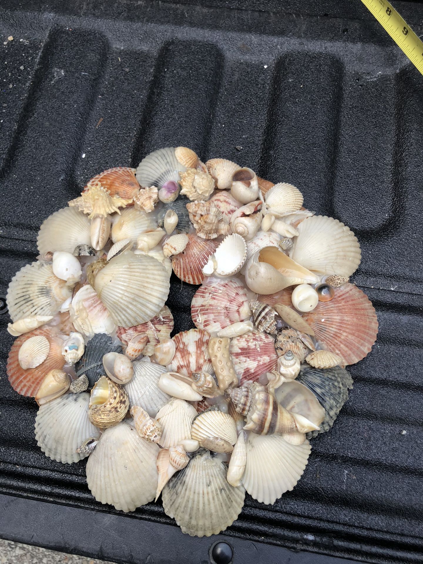 Homemade Wreath Made From Sea Shells