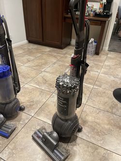 Dyson animal allergy