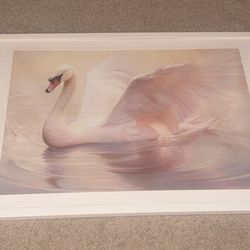 Swan Frame 