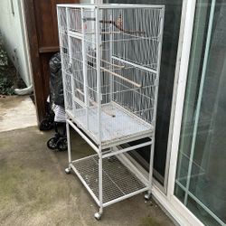 Birds Cage 