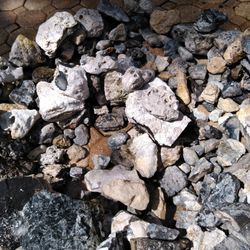 Fish Tank Rock And Driftwood