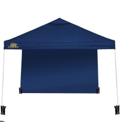 10x10 Ft. Golden Bear Canopy