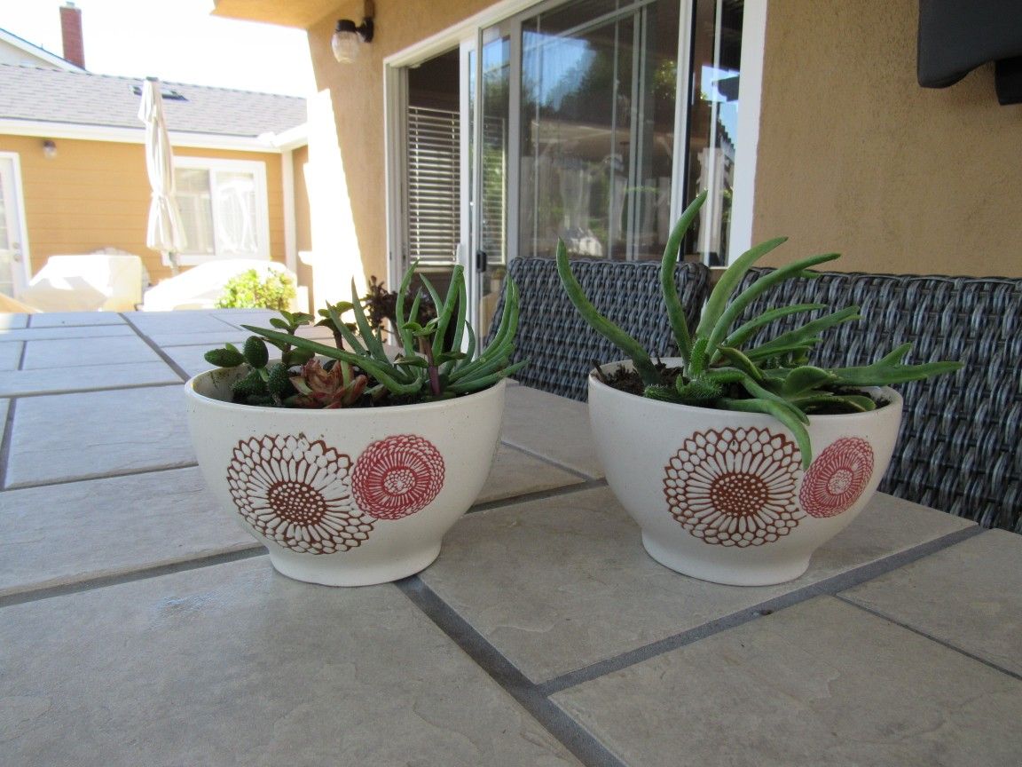 Pair Of Beige Flower Print Garden Pots With Succulents