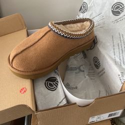 Tasman Uggs 