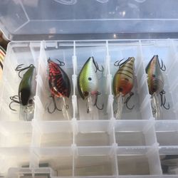 Bass Lures