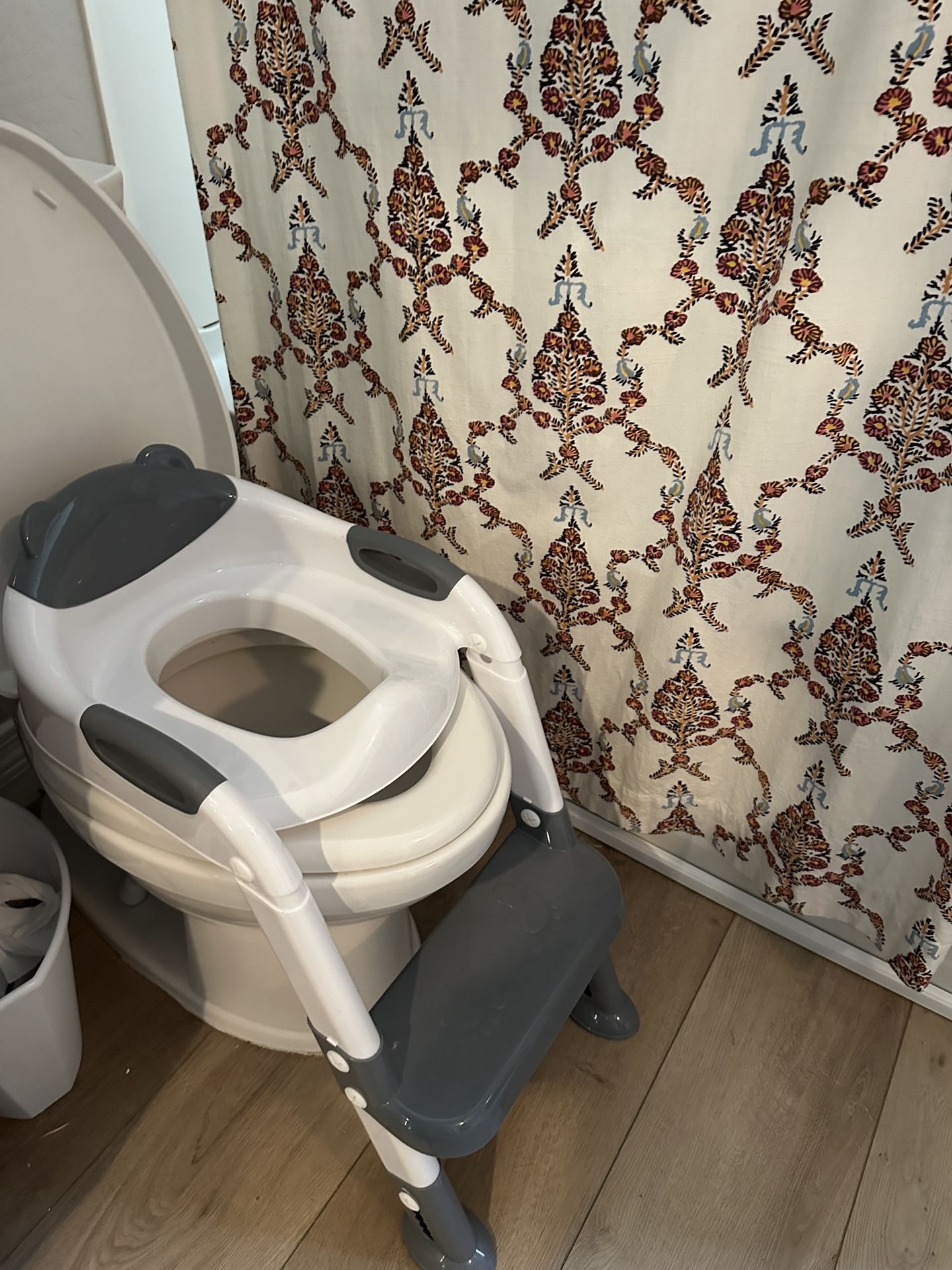 Little Kid Potty