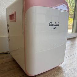 Mini Fridge 