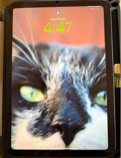 iPad Mini (A17 Pro) Blue