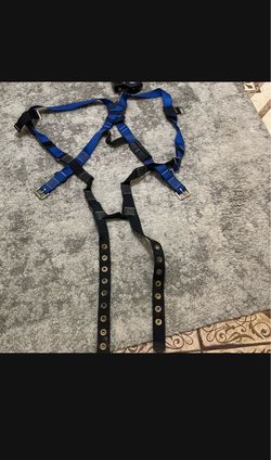 Body Harness