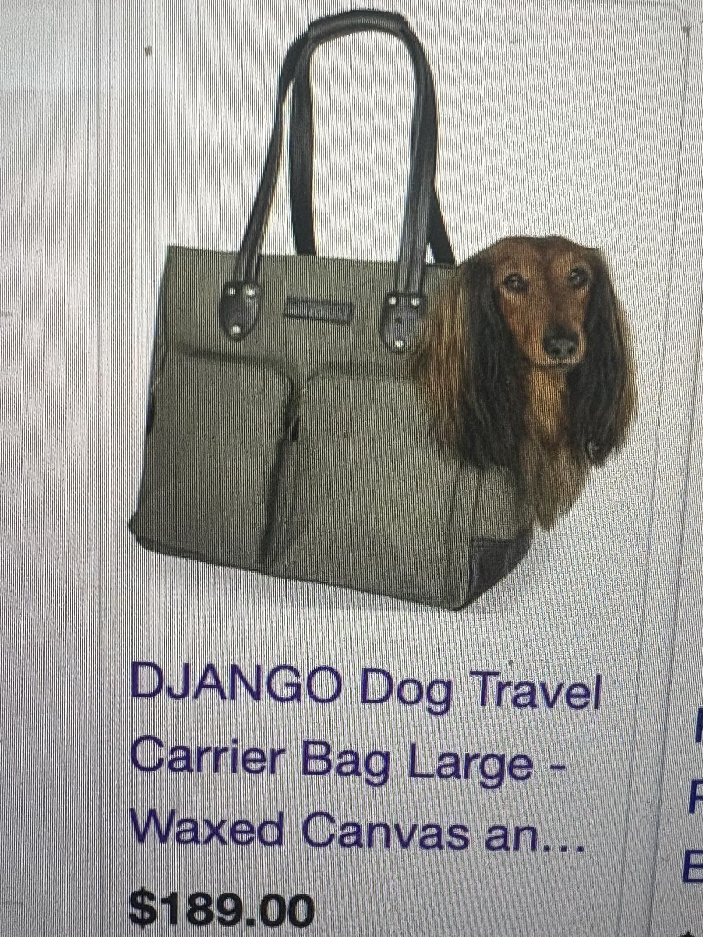 DJANGO Canvas & Leather Pet Carrier