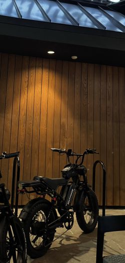 2 Seater Voltvogue E Bike